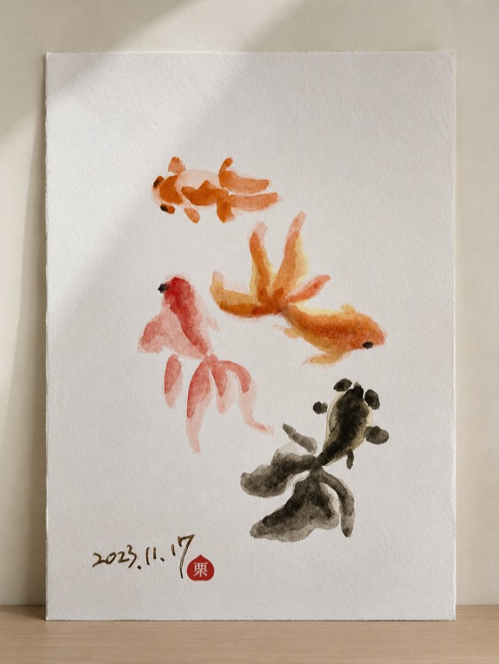 五尾金魚速寫，橘紅、金黃與墨黑交錯